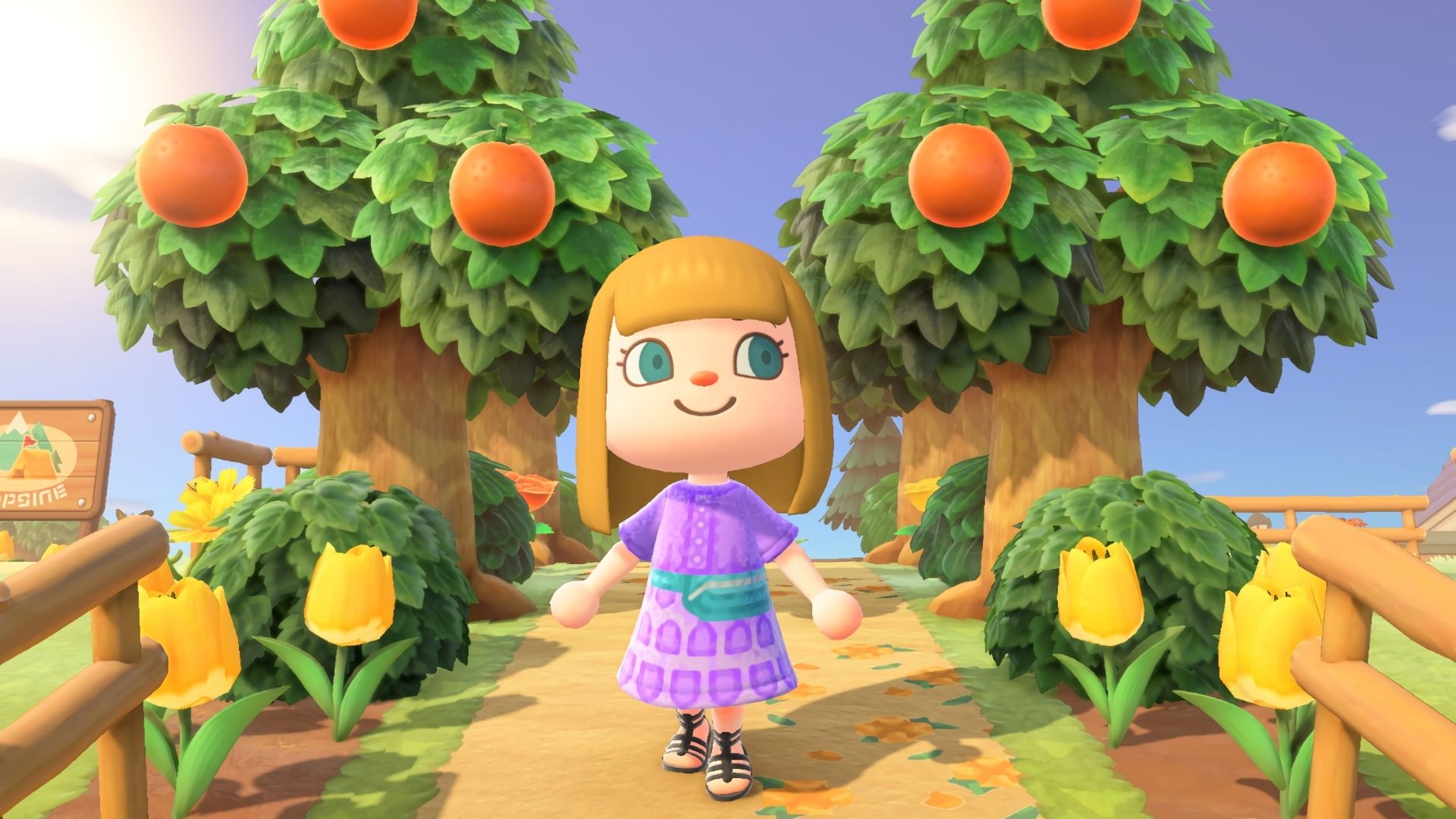 © Nintendo